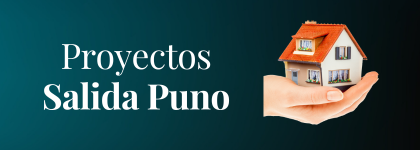 proyectos de puno