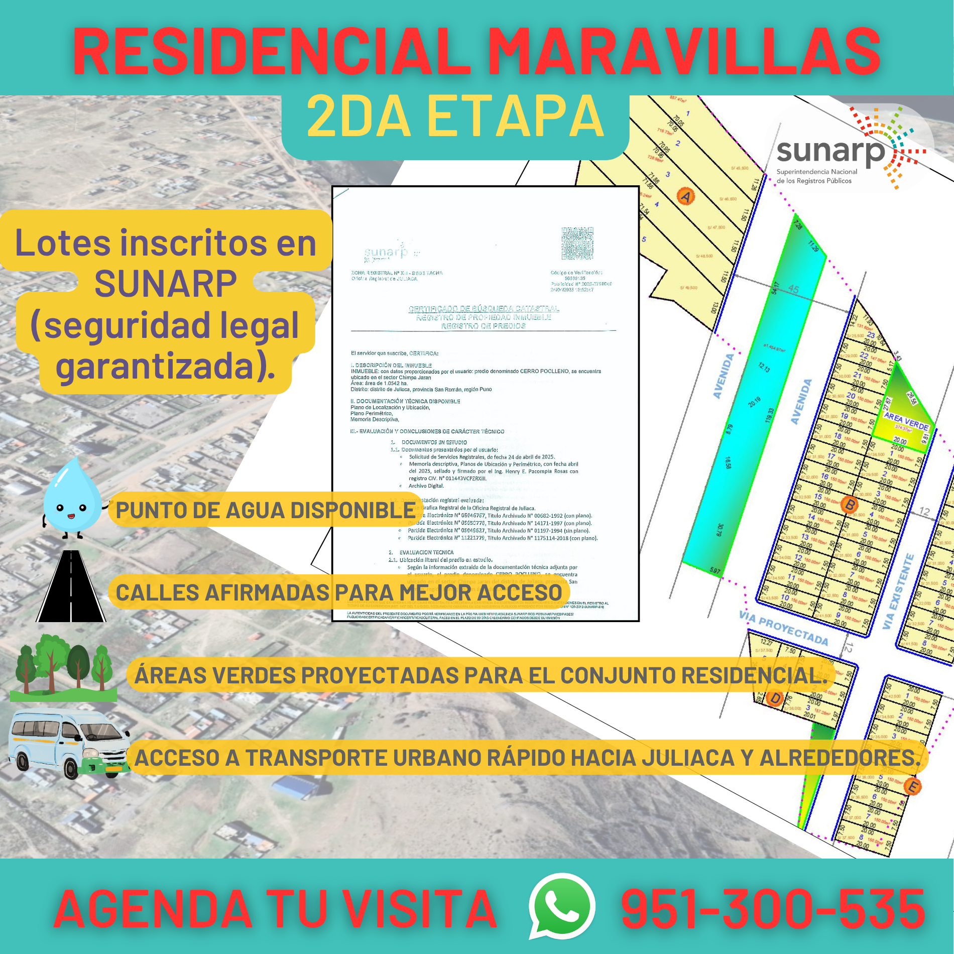 Hidroponia